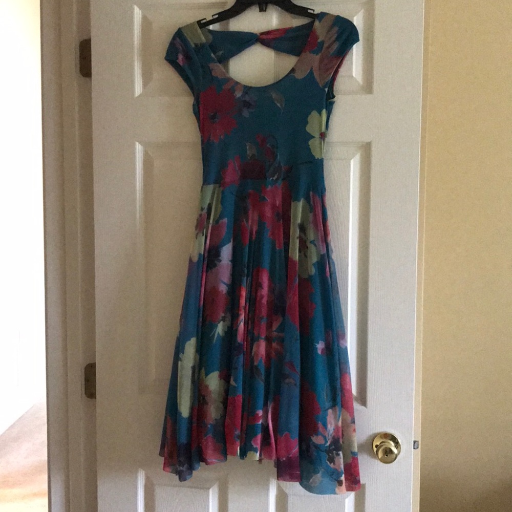 Anthropologie Blue Magenta Flower Dress XS